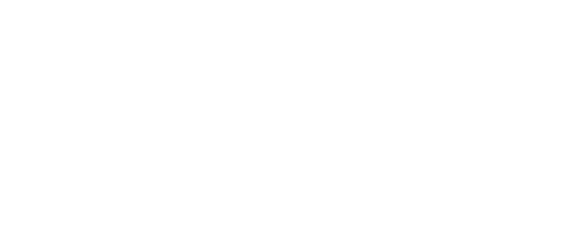 MALUS加速器